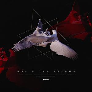 Гришка Перельман