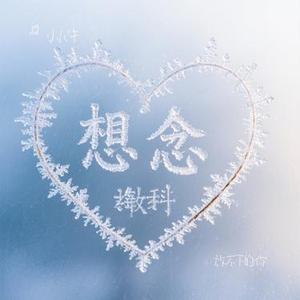 放不下的你