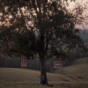 Dear Carl I Forgot Who I Was Gigi Masin Call Me