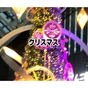 スノードロップ