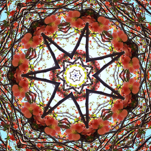 People were disappearing without a trace