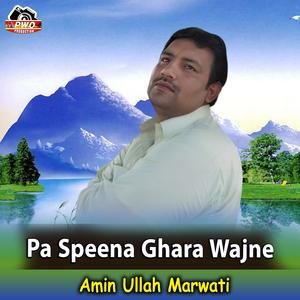 Pa Speena Ghara Wajne