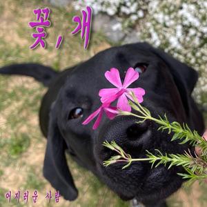 슬픈 눈을 가진 소년의 이야기