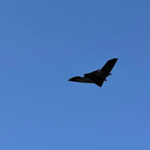 路过我的心却不定居