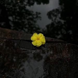 如果心跳有答案 (Cover 半块冰糖)
