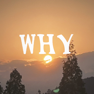 为什么 （demo)