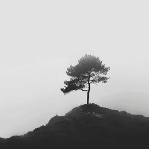 Zen strand