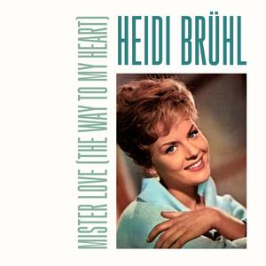 Mister Love (The Way to My Heart)