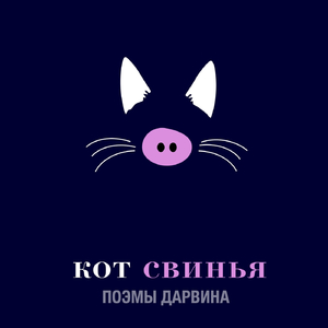 Кот Свинья