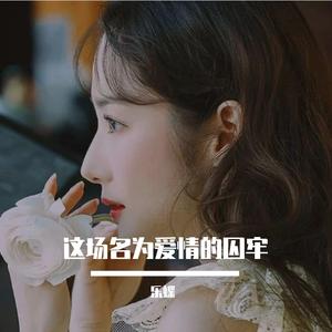 玫瑰花灿烂一场也会枯萎(热搜版)