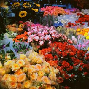 【FREE】"疫情结束你想去见谁-情绪类型 Beat