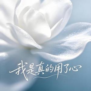 我是真的用了心