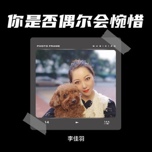 你是否偶尔会惋惜 (DJ欧东版伴奏)