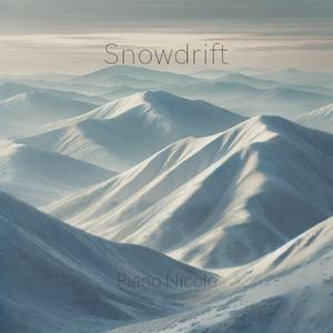 Snowdrift