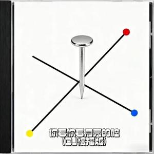 你看你看月亮的脸 (DJ慢摇版)  (Remix)