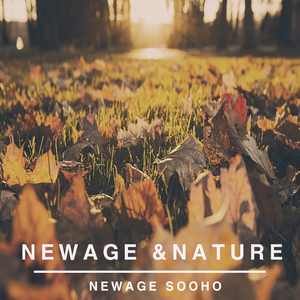 불멍(장작타는소리 , 초저녁 봄 숲소리ASMR)