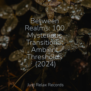 Emerging from Starlit Skies