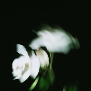 Skankin' Sweet (feat. YungKayy & 1raloo)