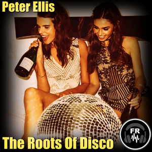 The Roots Of Disco (Original Mix)