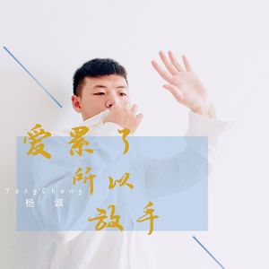 爱累了所以放手