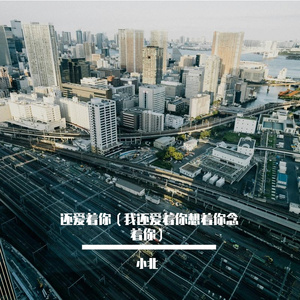 还爱着你（我还爱着你想着你念着你）