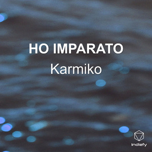 HO IMPARATO