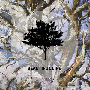 Beautiful Life (feat. Nate Mendel & Jeremy Enigk)