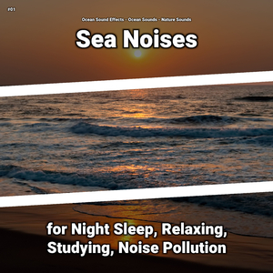 Ocean Sound Effect to Help Babies Sleep