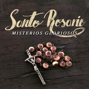 Fuiste Llevada al Cielo