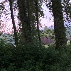 LIKE IT (feat. Keifer Moon)