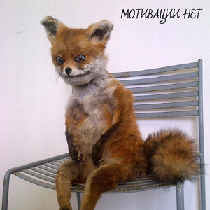 Мотивации нет