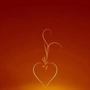 是不是我不够温柔