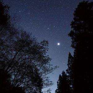 阳光穿透的微笑(1)