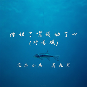 你动了嘴我动了心(对唱版)