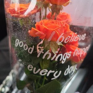 Haihe Heartbeat (海河心跳)