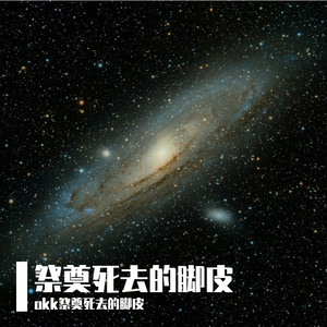 宇宙独有的引力