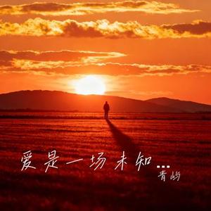 爱是一场未知的赌局