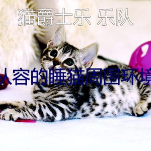 温和猫梦想