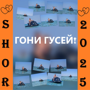 Гони гусей!