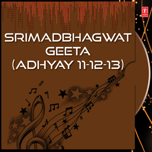 Shrimad Bhagavad Geeta Part-4 [Chaturdash (Uttrardh), Panchdash Adhyaya, Shodash Adhyaya, Saptadash Adhyaya, Ashtadash Adhyaya]