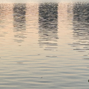 冬
