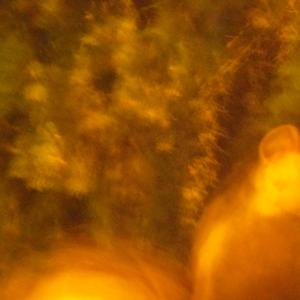 bıktım artık her şeyi değiştirmeyi istemekten