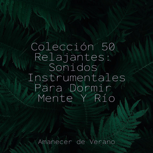 Sinfonía de Plumas Eufónicas