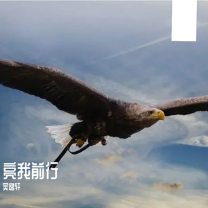 亮我前行