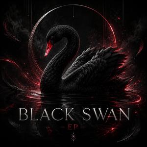Black Swan After Midnight
