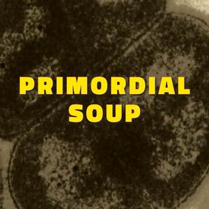 Primordial Soup