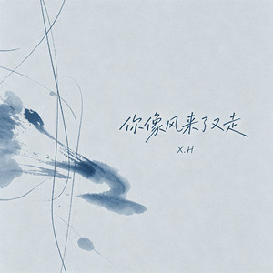 你像风来了又走