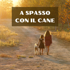 Last Time We Met Was a Low-Lit Room