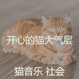 柔和的猫午睡时间时刻