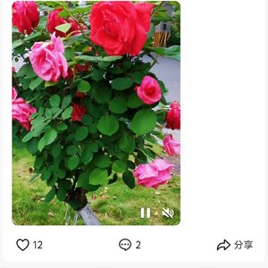 快回来快回到我身边我的宝贝